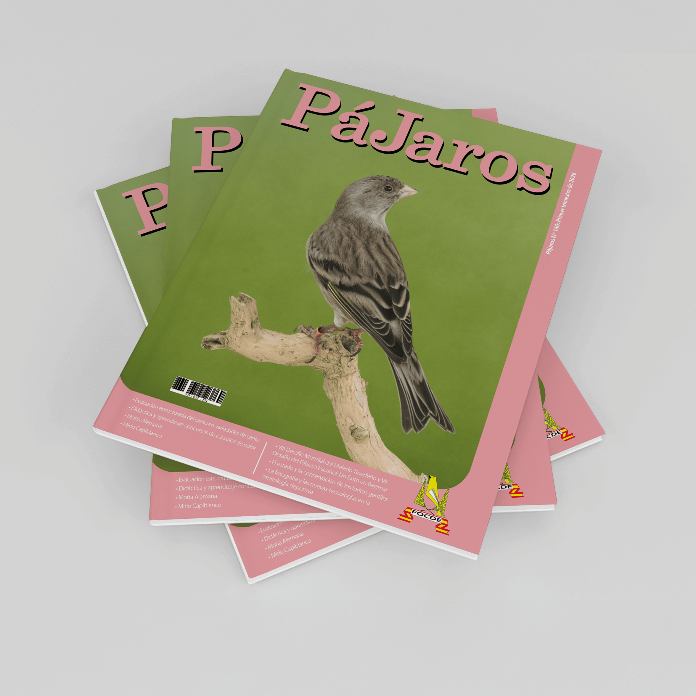 Pájaros: diseño editorial para la revista de FOCDE