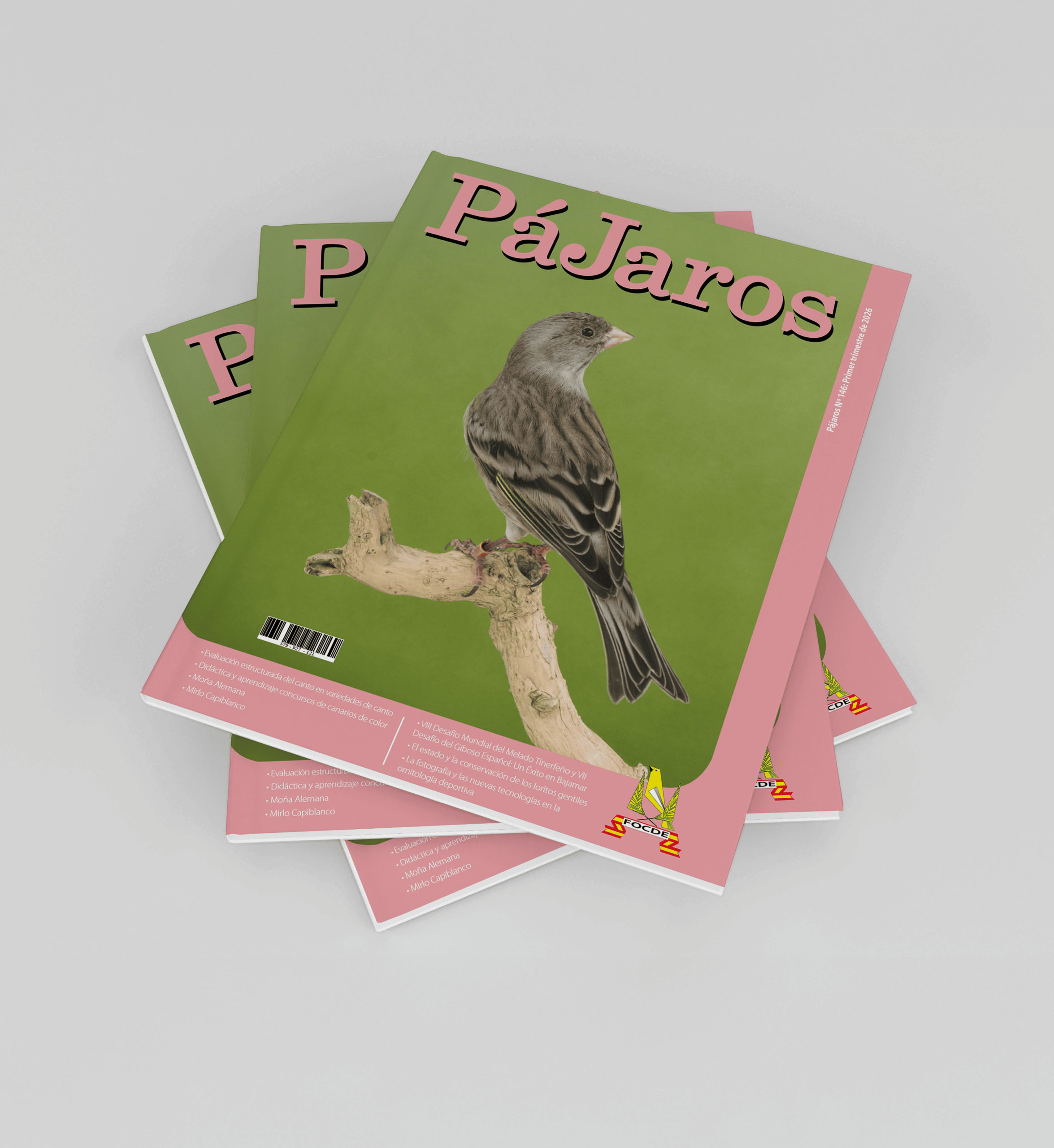 P&aacute;jaros: dise&ntilde;o editorial para la revista de FOCDE