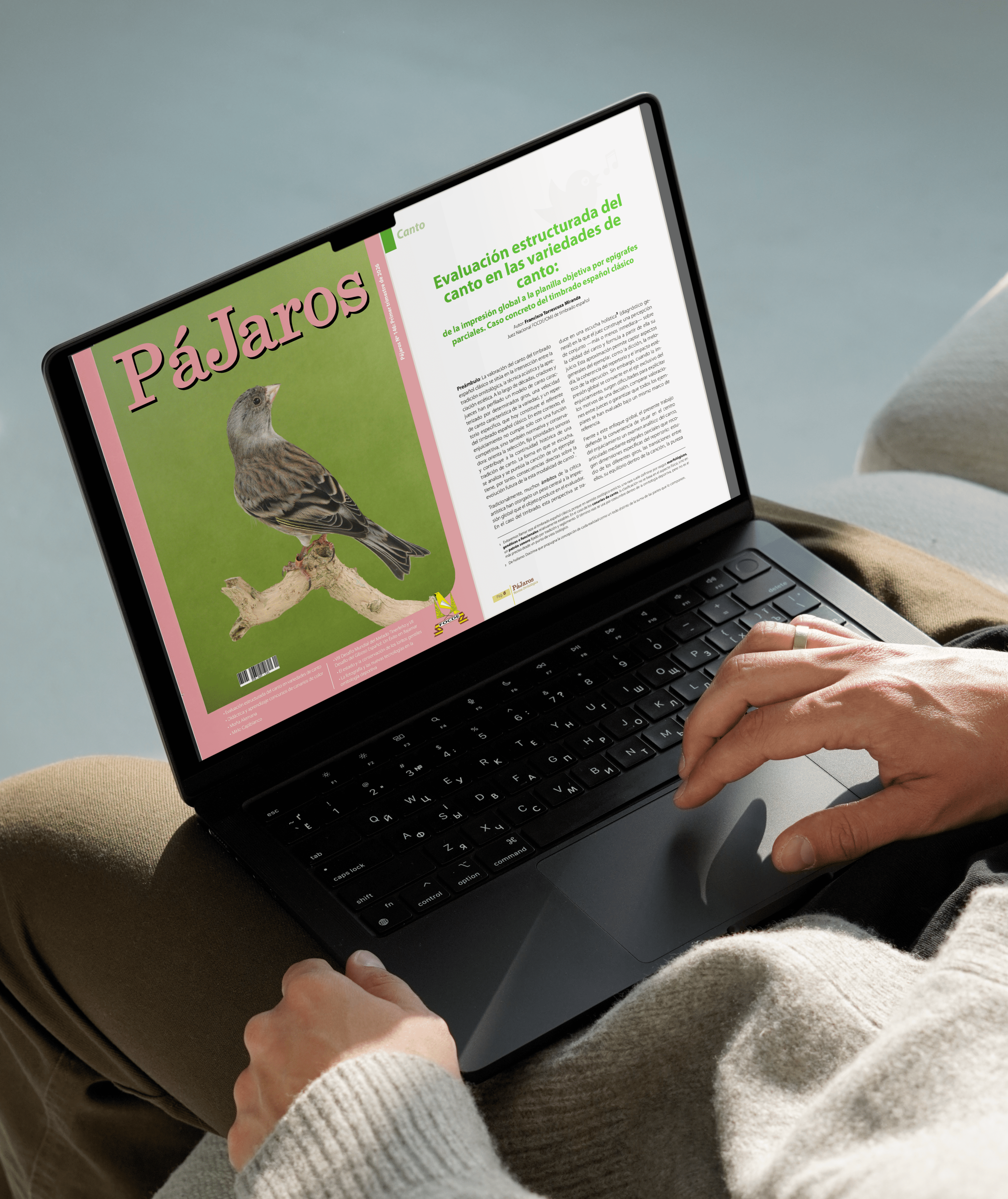 P&aacute;jaros: dise&ntilde;o editorial para la revista de FOCDE