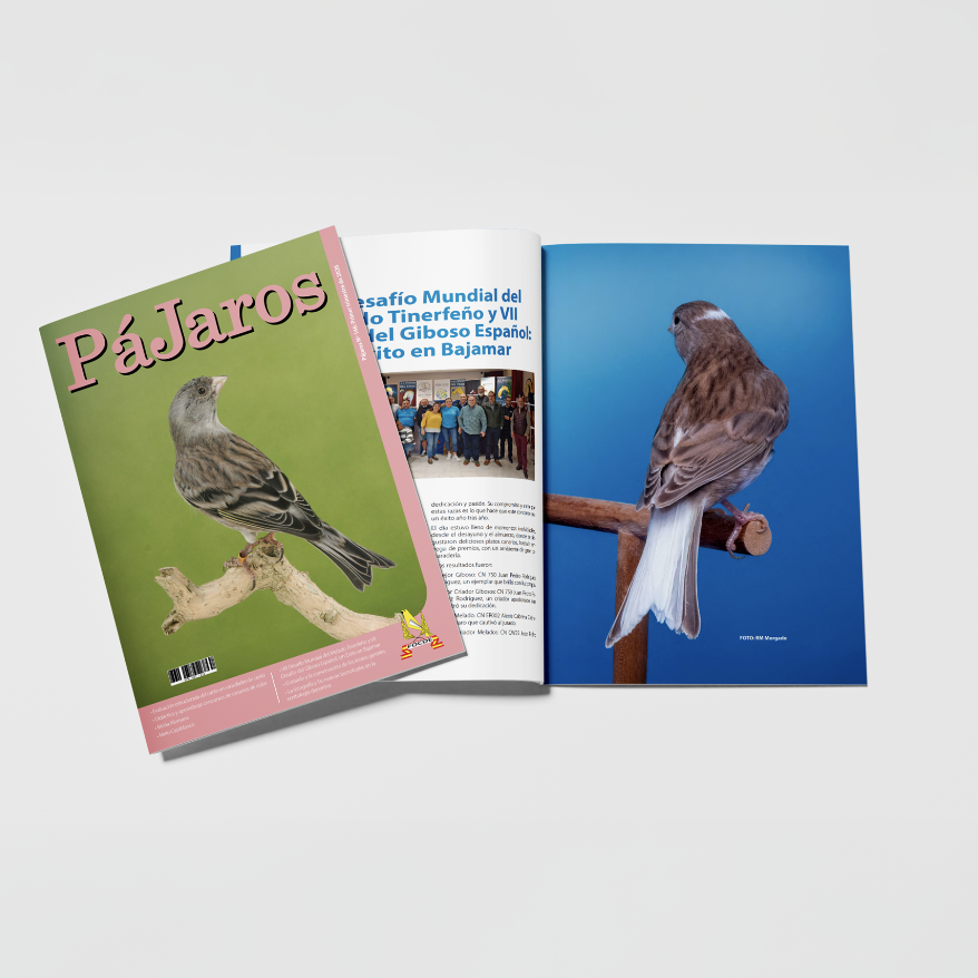 Diseño editorial
