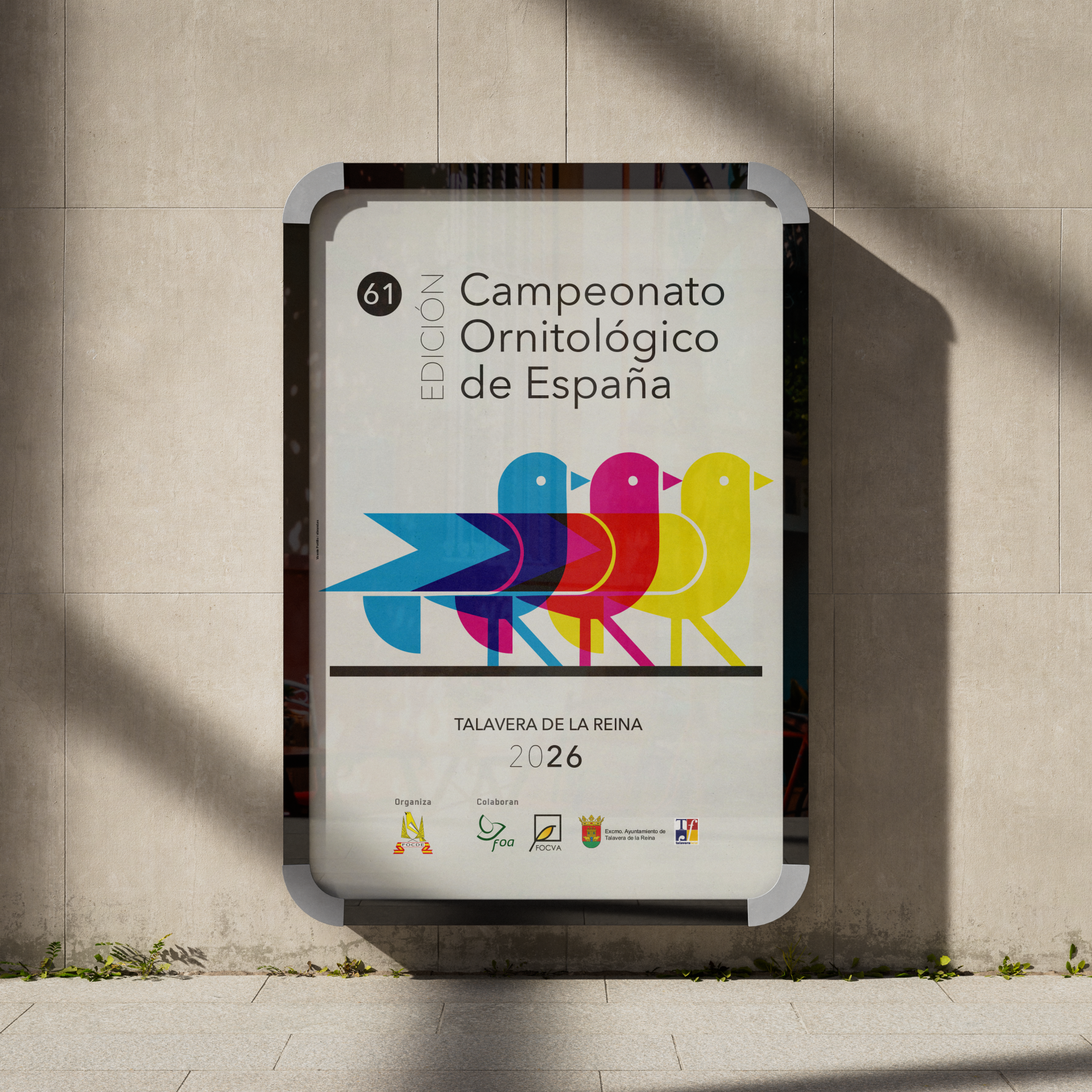 Diseño de cartel para eventos del Campeonato Ornitológico de España